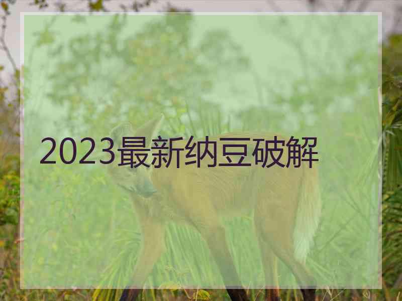 2023最新纳豆破解