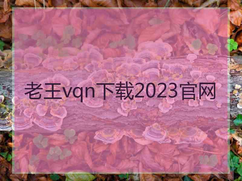 老王vqn下载2023官网