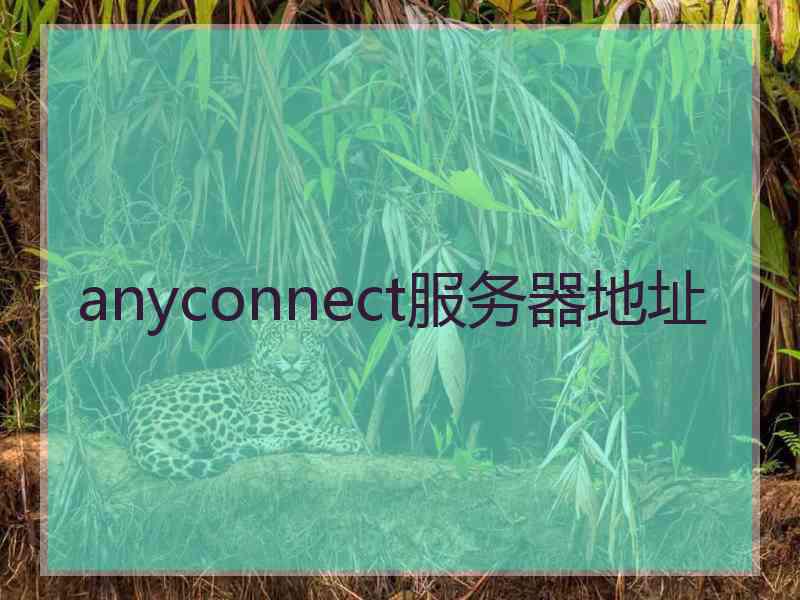 anyconnect服务器地址