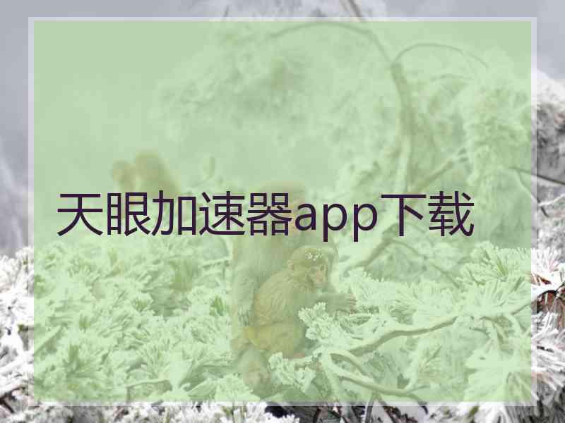 天眼加速器app下载