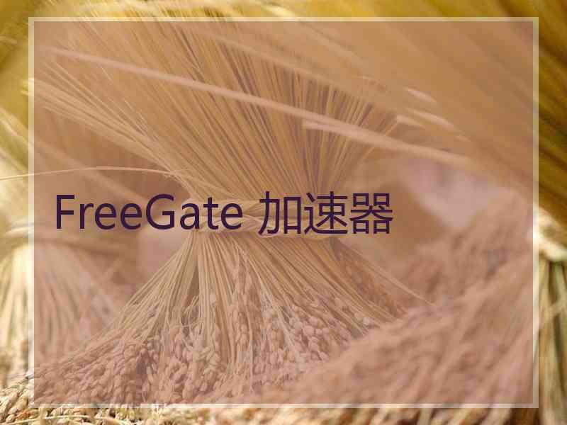 FreeGate 加速器