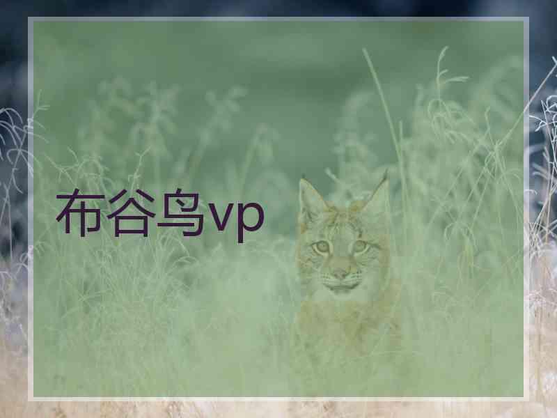 布谷鸟vp