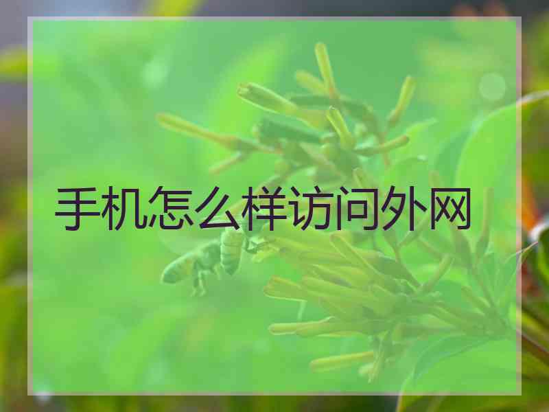 手机怎么样访问外网