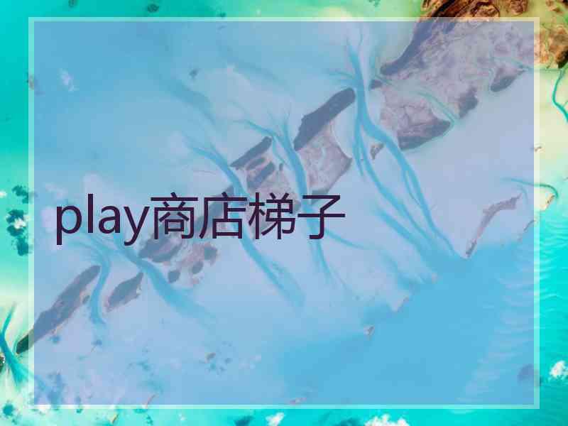 play商店梯子