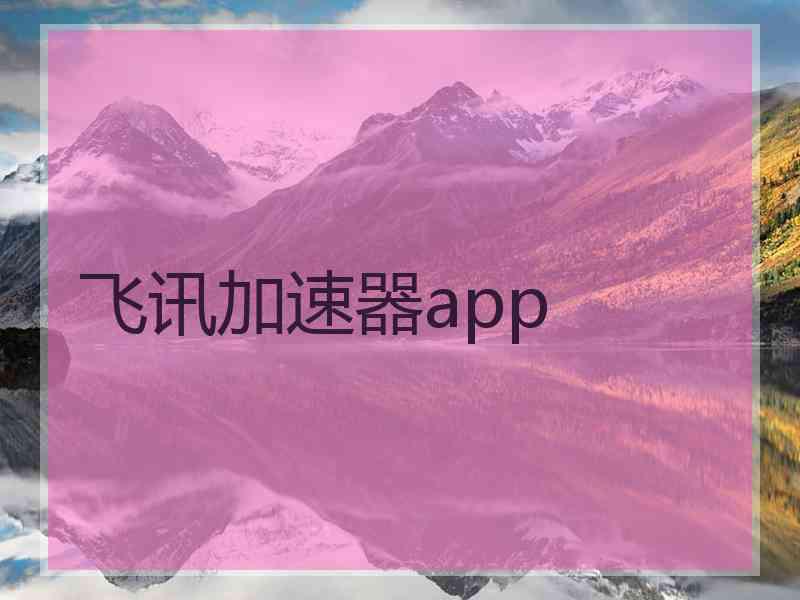 飞讯加速器app