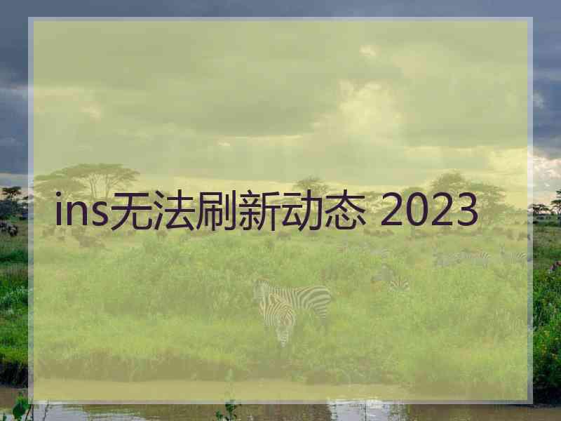 ins无法刷新动态 2023