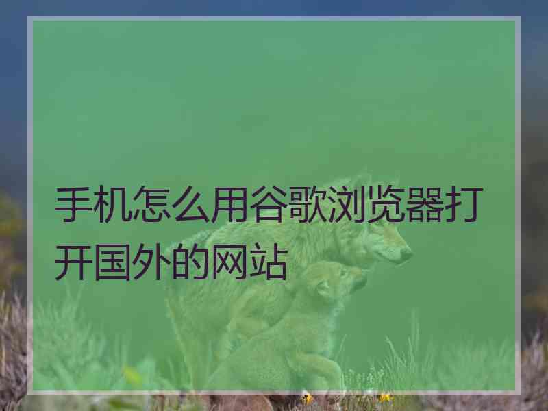 手机怎么用谷歌浏览器打开国外的网站