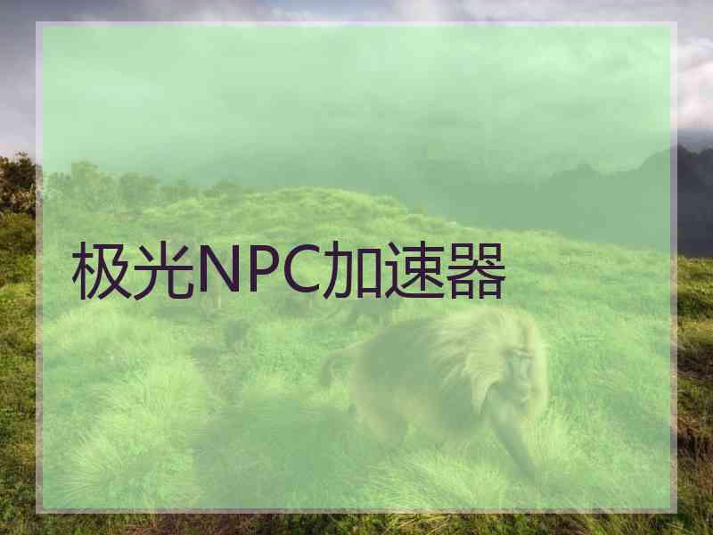 极光NPC加速器