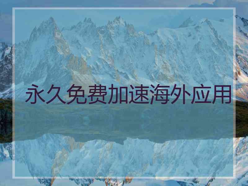 永久免费加速海外应用