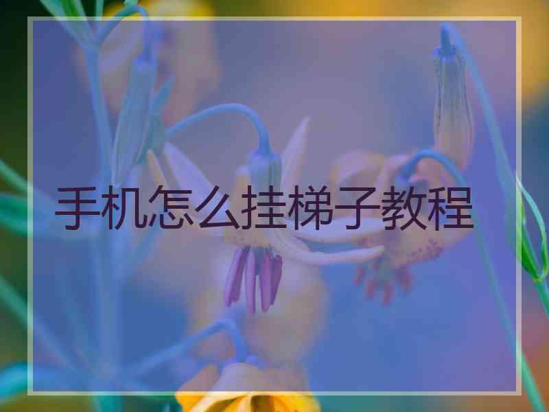 手机怎么挂梯子教程