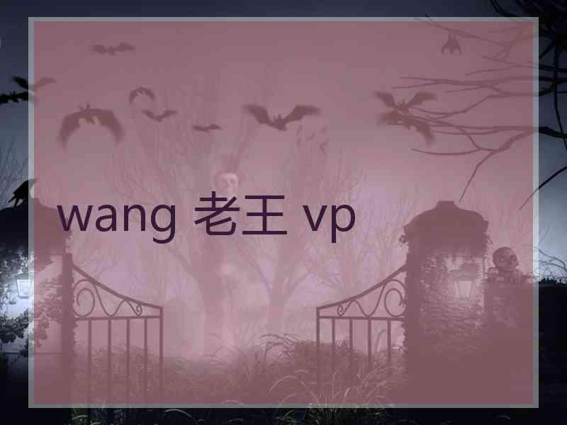 wang 老王 vp