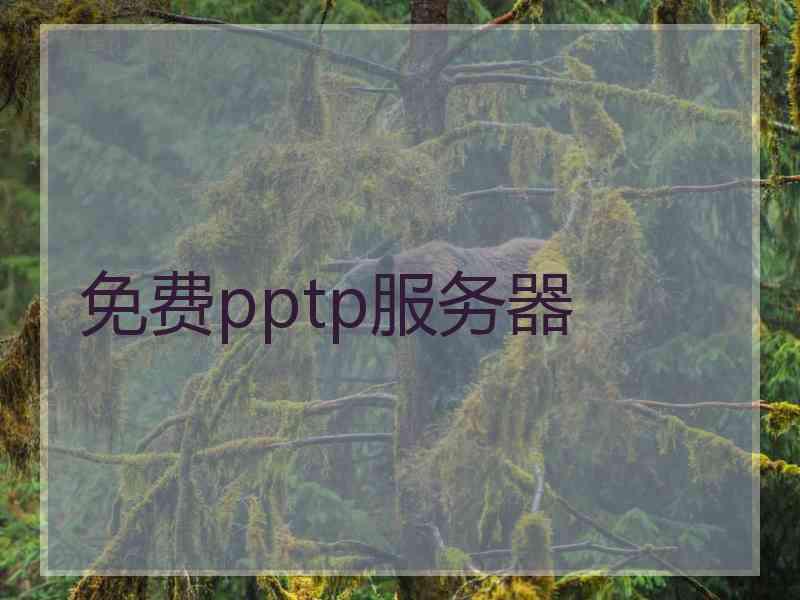 免费pptp服务器