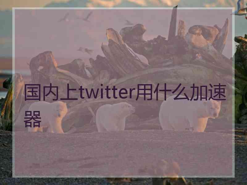 国内上twitter用什么加速器