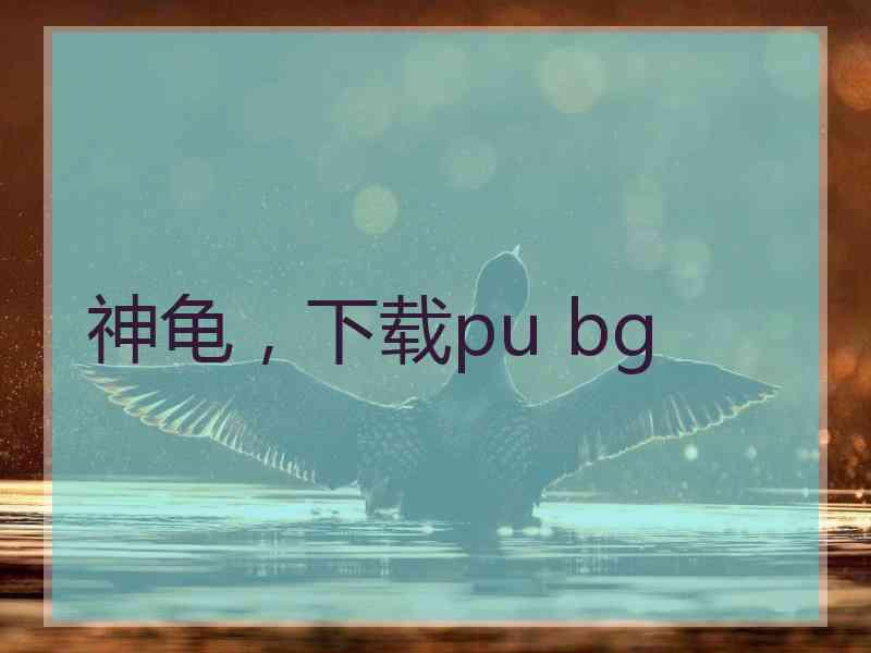 神龟，下载pu bg