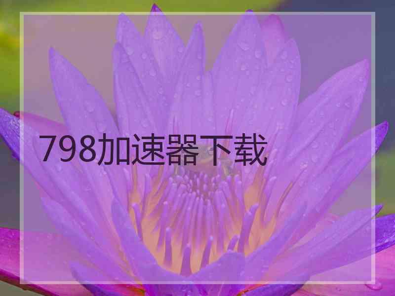 798加速器下载