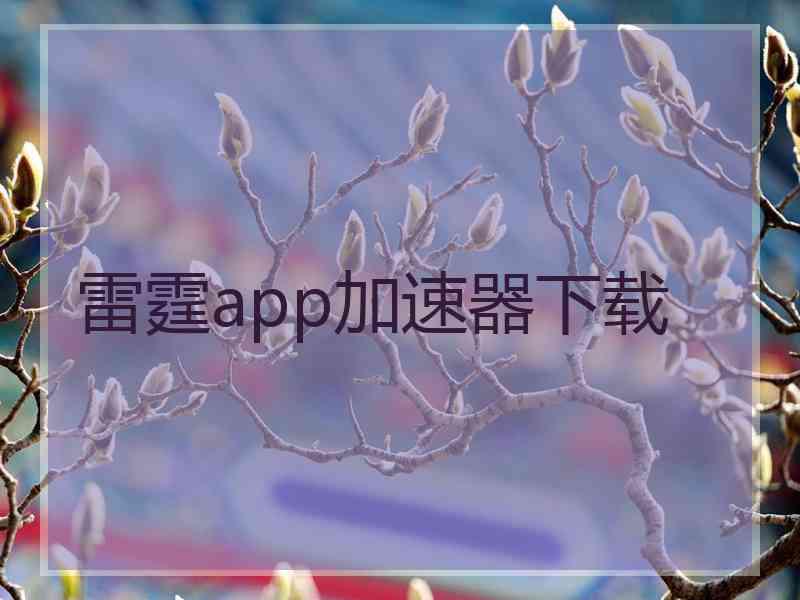 雷霆app加速器下载