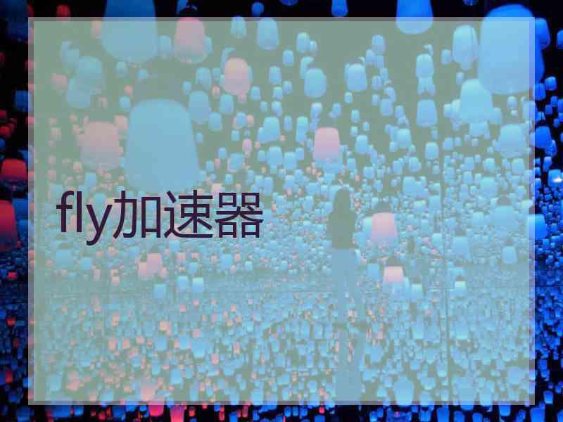 fly加速器