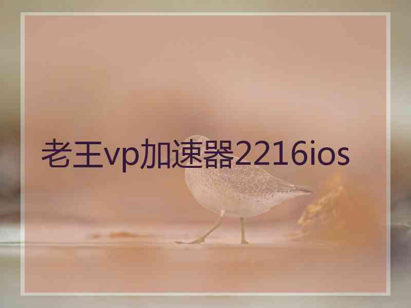 老王vp加速器2216ios