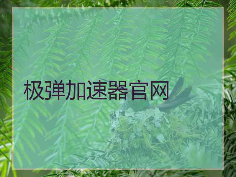 极弹加速器官网