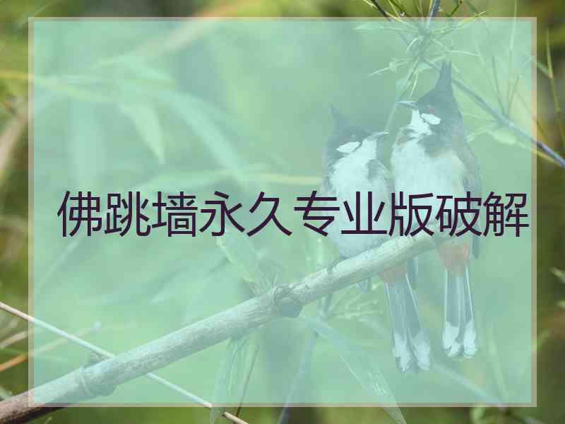 佛跳墙永久专业版破解