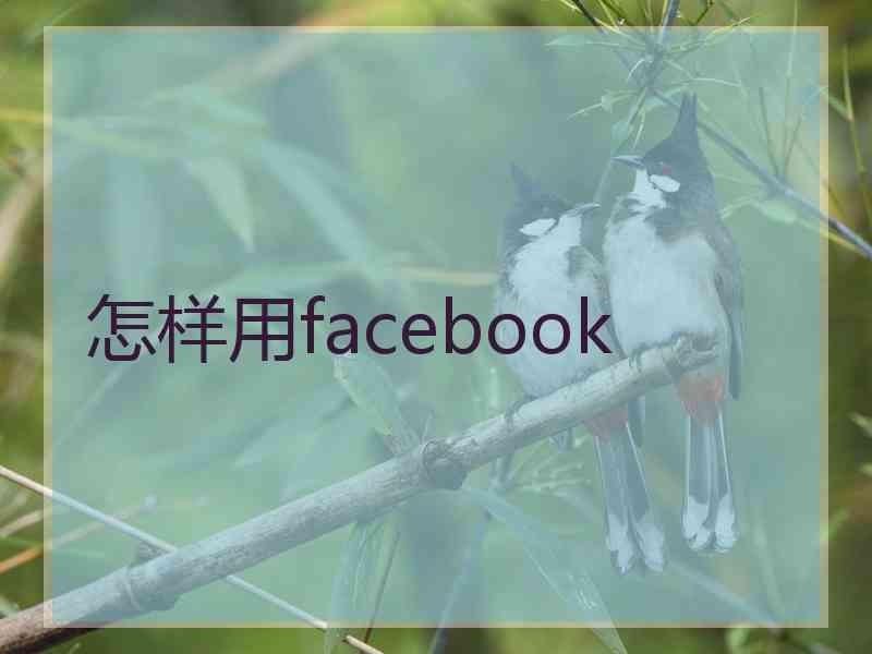 怎样用facebook