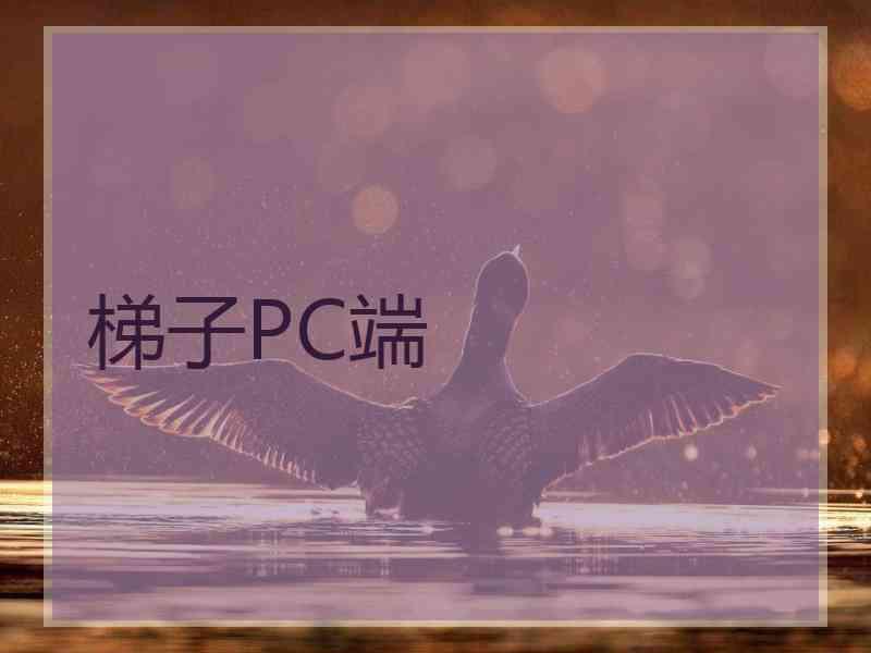 梯子PC端