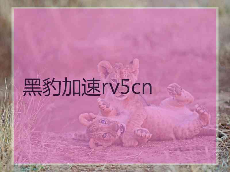 黑豹加速rv5cn