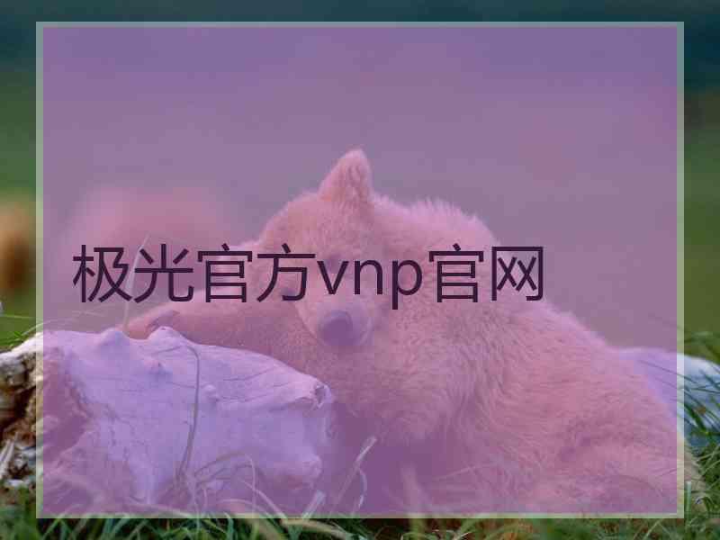 极光官方vnp官网