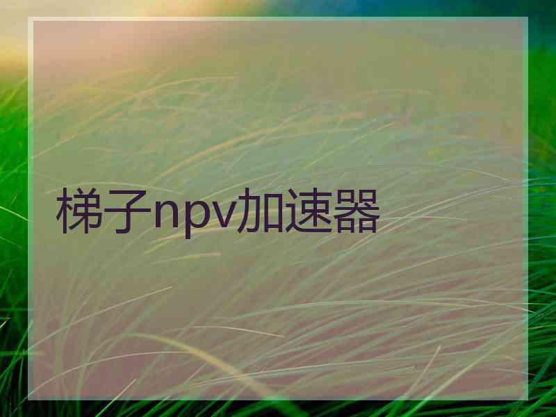 梯子npv加速器