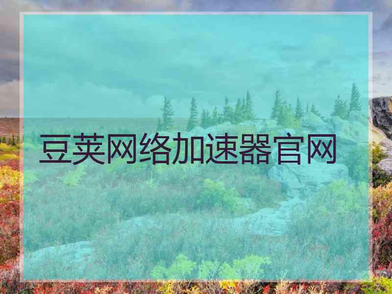 豆荚网络加速器官网