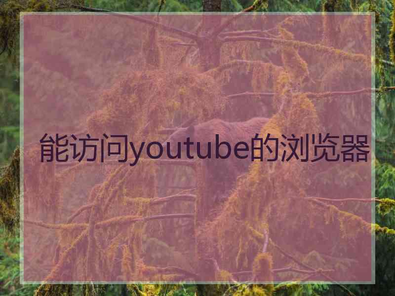 能访问youtube的浏览器