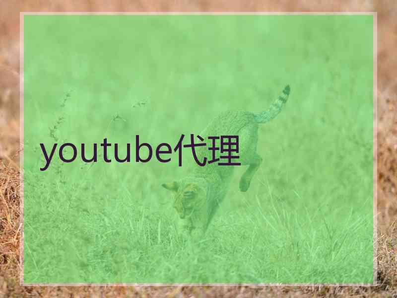 youtube代理